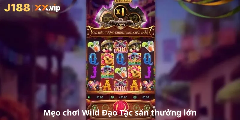 Mẹo chơi Wild Đạo Tặc săn thưởng lớn